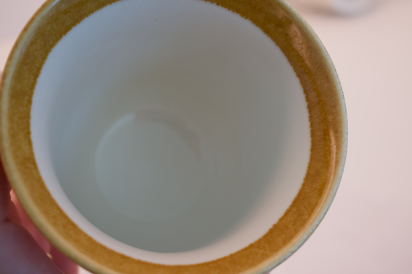 Set of 4 Vintage Mikasa Floral Fall Mugs